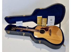 Gibson Songbird Deluxe (11574)