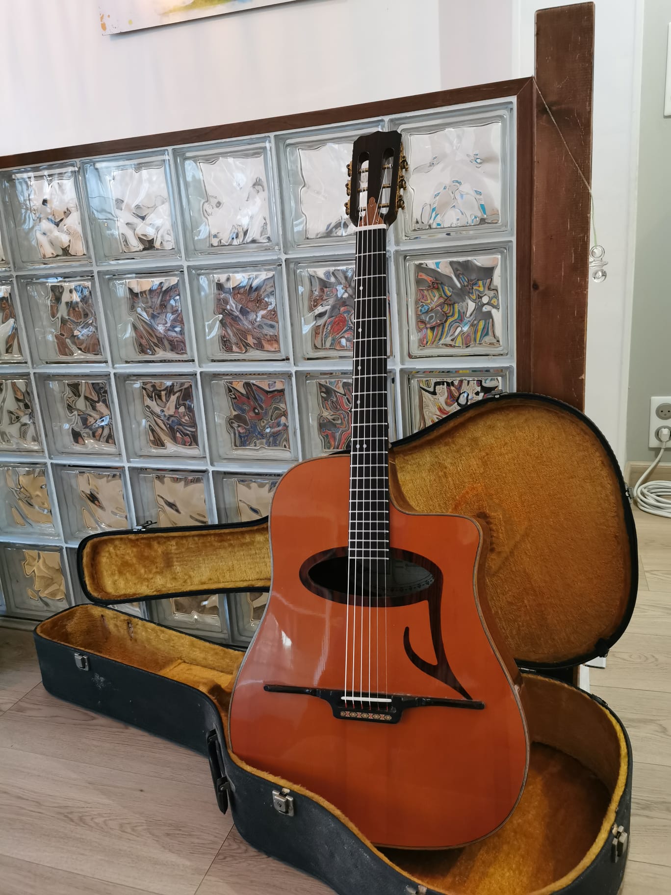 Vends Guitare Jazz Eko "El Gaucho"
