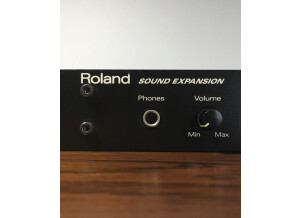 Roland M-VS1 Vintage Synth (3042)