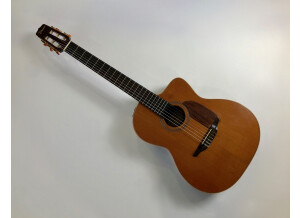Takamine TAN650C (92621)