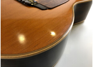 Takamine TAN650C (72025)