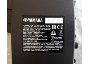 Yamaha SLG200N