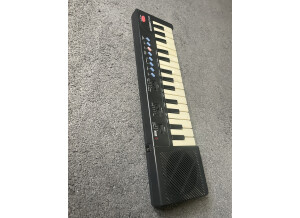 Casio PT-10 (2276)