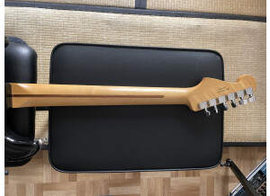 Fender Player Stratocaster (49981)