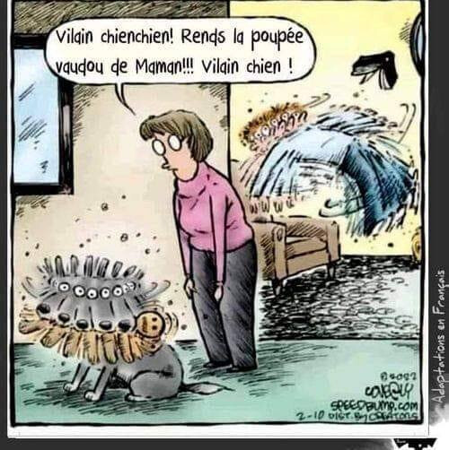 5888825.jpg 5888825.jpg