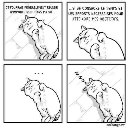 5888828.jpg 5888828.jpg