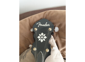 Fender FB-54