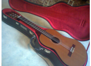Alhambra Guitars 6P (86360)