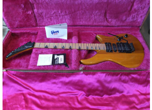 Gibson M III Custom (93805)