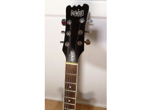Eastwood Guitars Delta 6