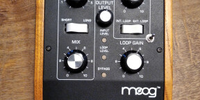 Moogerfooger Analog Delay MF-104Z + Spillover Mod