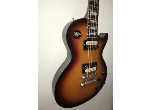 Gibson LPJ 2014 (11642)