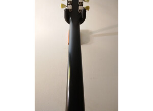 Gibson LPJ 2014 (11735)