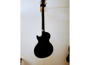Gibson LPJ 2014 (22040)