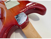 Fender American Elite Stratocaster (66141)