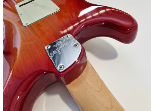 Fender American Elite Stratocaster (66141)
