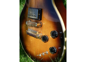 Gibson Les Paul Artist Active (79593)