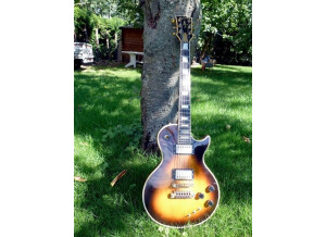 Gibson Les Paul Artist Active (80840)
