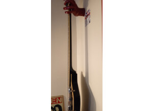 Gretsch G6199B Billy-Bo Jupiter Thunderbird Bass (70348)