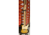 Fender Richie Kotzen Telecaster à vendre