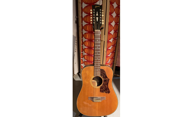 Gibson J-45 Standard 12-String (14203)