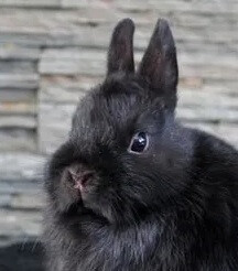 5895503.jpg 5895503.jpg