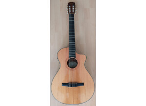 Taylor NS32ce (53997)