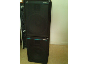 Peavey EuroSys 3 (39860)