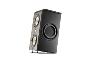 Focal Shape Twin (52854)