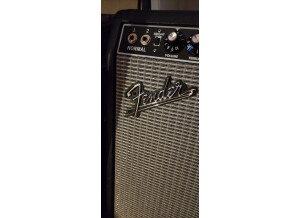 Fender Tone Master Twin Reverb (65761)