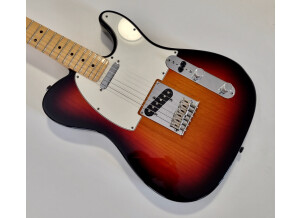Fender American Standard Telecaster [2008-2012] (76052)