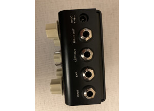 Strymon Flint (42620)