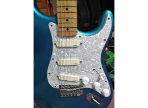 Fender Standard Stratocaster [2009-2018] (1599)