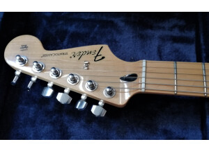 Fender Standard Stratocaster [2009-2018] (10568)