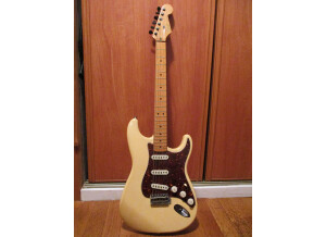 Fender American Professional Stratocaster (85963)