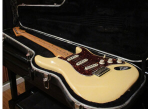 Fender American Professional Stratocaster (46359)