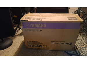 Yamaha TRS-MS04