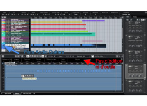 Steinberg Cubase 11 Pro (42269)