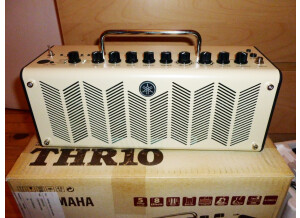 Yamaha THR10 (88581)