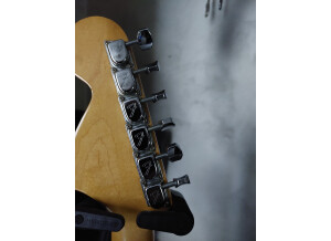 Fender Stratocaster [1965-1984] (85841)