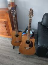 Elypse Guitars Yanca