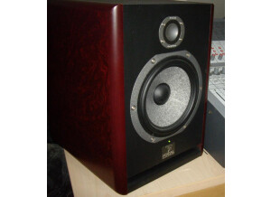 Focal Solo6 Be (78155)