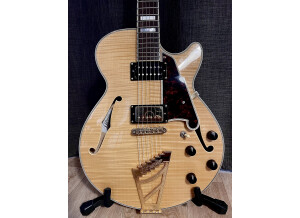 D'angelico Excel SS (2013)