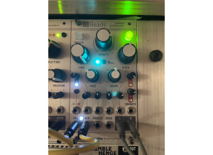 Mutable Instruments Beads (87587)