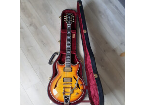 Guitare dans étui