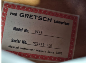 Gretsch G6119 Tennessee Rose (58945)