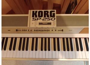 Korg SP-250 (62775)