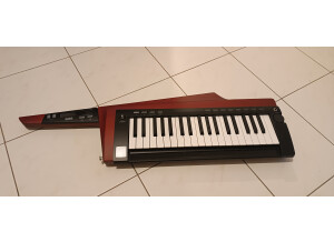 Korg RK-100S 2