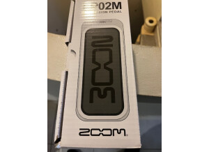 Zoom FP02M (52898)