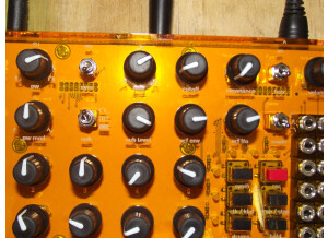 Mutable Instruments Anushri (90925)